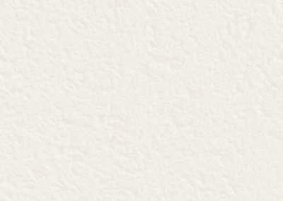 Blanc de noirmoutier