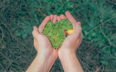 Investissez dans l’isolation thermique par l’extérieur pour un avenir durable !